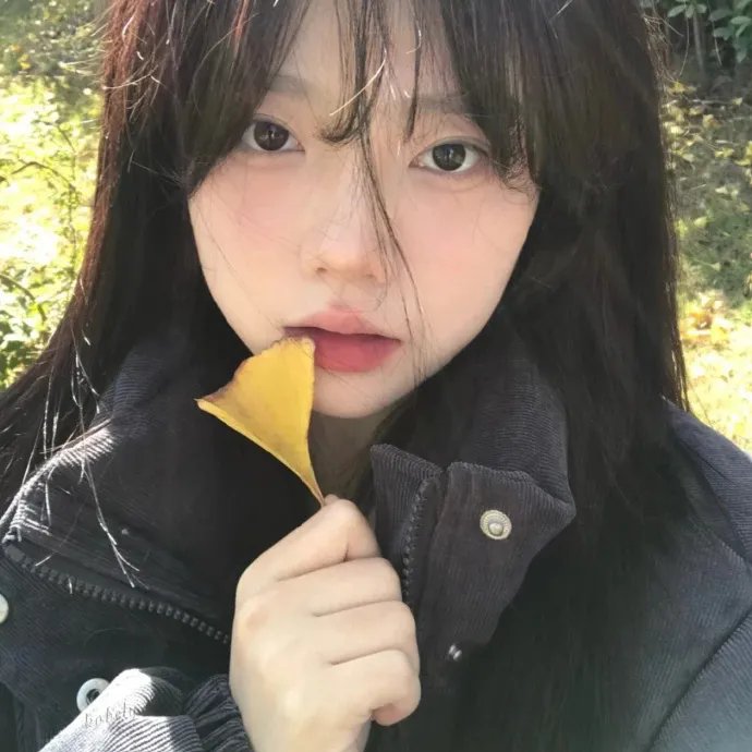 竞选风云